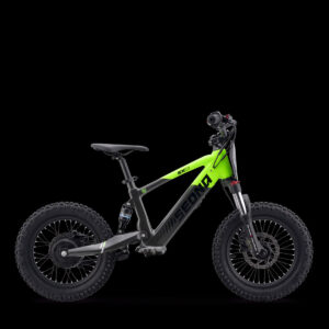 SEDNA SX 16" - zelená