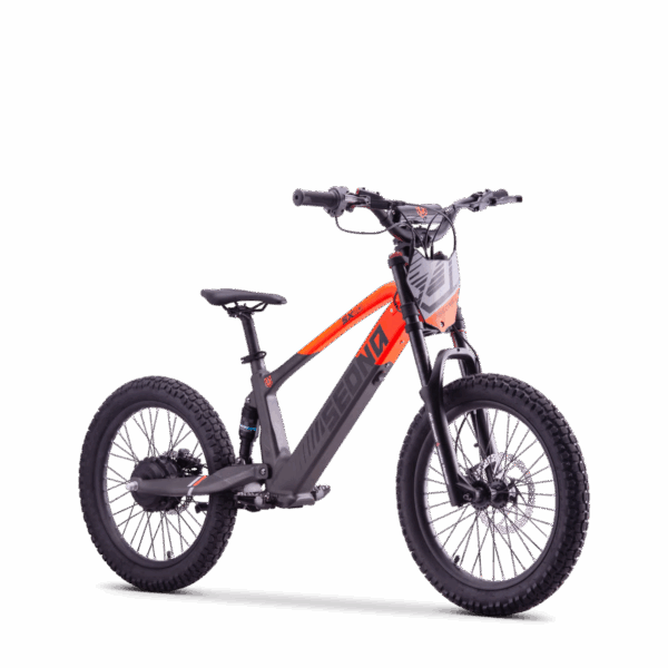 SEDNA SX 20" - oranžová